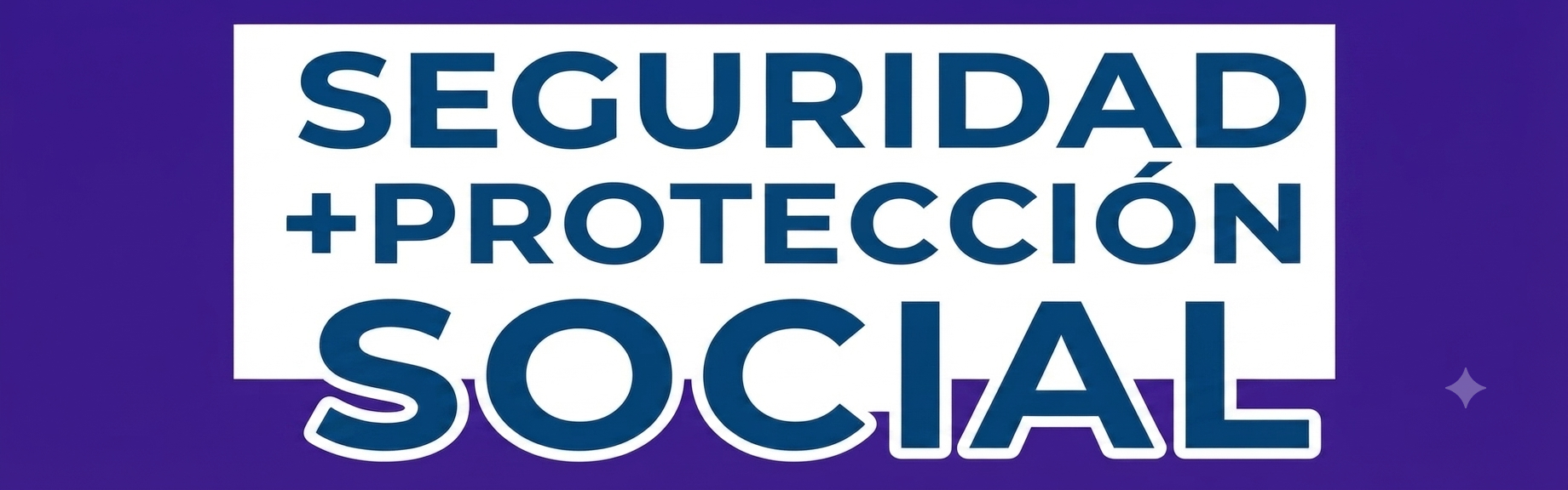 Seguridad y Protección Social para todos